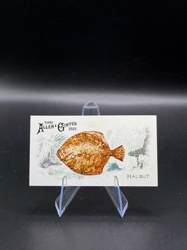 Halibut 2025 topps - allen, &