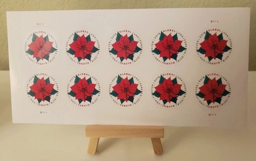 Poinsettia flower - poinsettia,